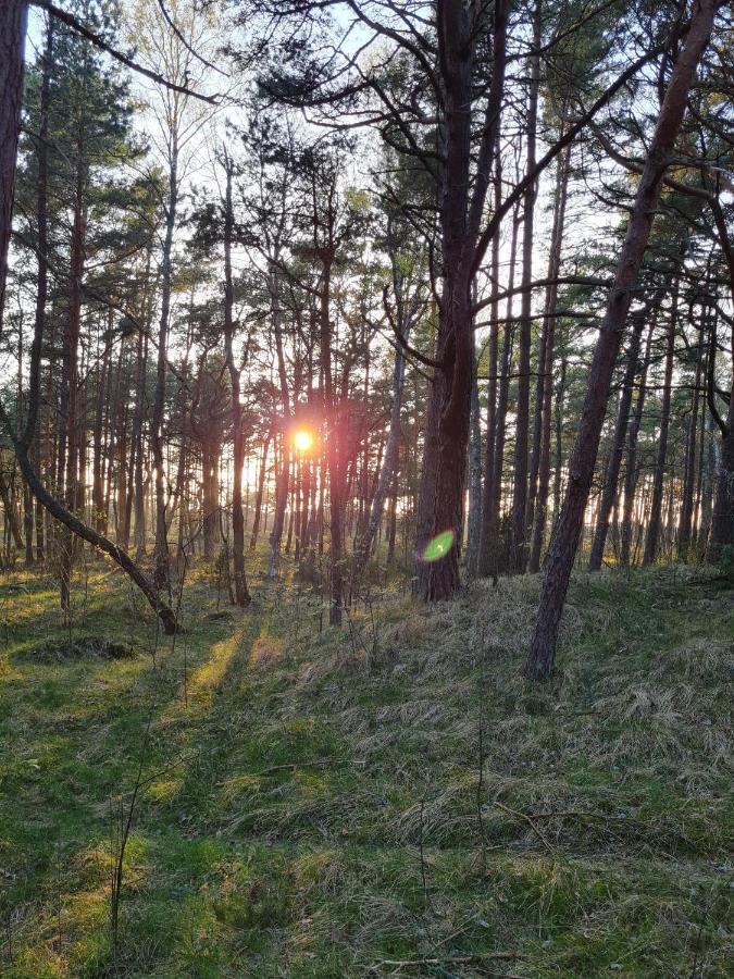 Juros Sentimentai Mano Jura2 Leilighet Palanga Eksteriør bilde